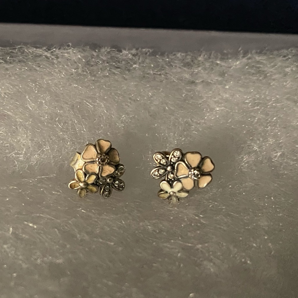 Pandora earrings